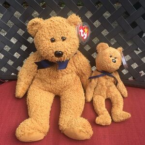 TY beanie/buddy set Fuzz the bear